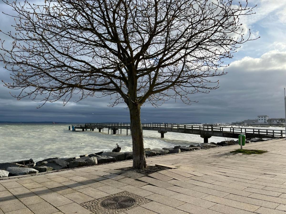 Sonnige Souterrain-Ferienwohnung Sassnitz Esterno foto