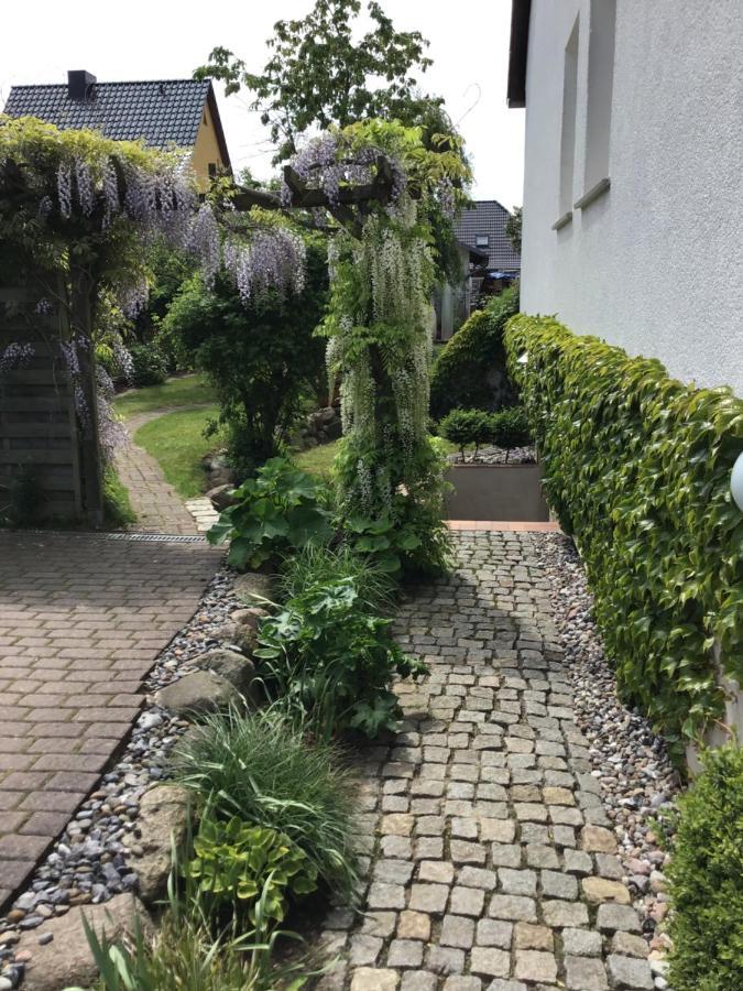 Sonnige Souterrain-Ferienwohnung Sassnitz Esterno foto